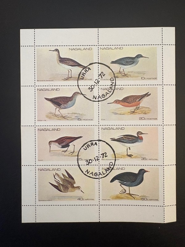 NAGALAND, 1972 Precancelled, BIRDS POSTAGE STAMP SHEET 9 TOTAL STAMPS!!