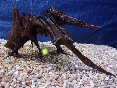 XX-Large Driftwood 16''x40''x18'' Aquarium Terrarium Reptile Natural Art