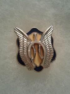 Authentic-US-Army-17th-Cavalry-Regiment-DI-DUI-Unit-Crest-Insignia-G23