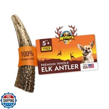 Tibetan Dog Chew Antler