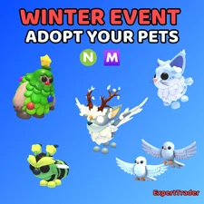 Winter Event Adopt Your Pet – Christmas Spirit, Maine Coon ,HumBug Fast Delivery