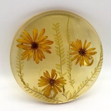 Pressed Flowers Lucite Resin Trivet Made in USA Round Wall Plaque Vtg MCM 60-70s