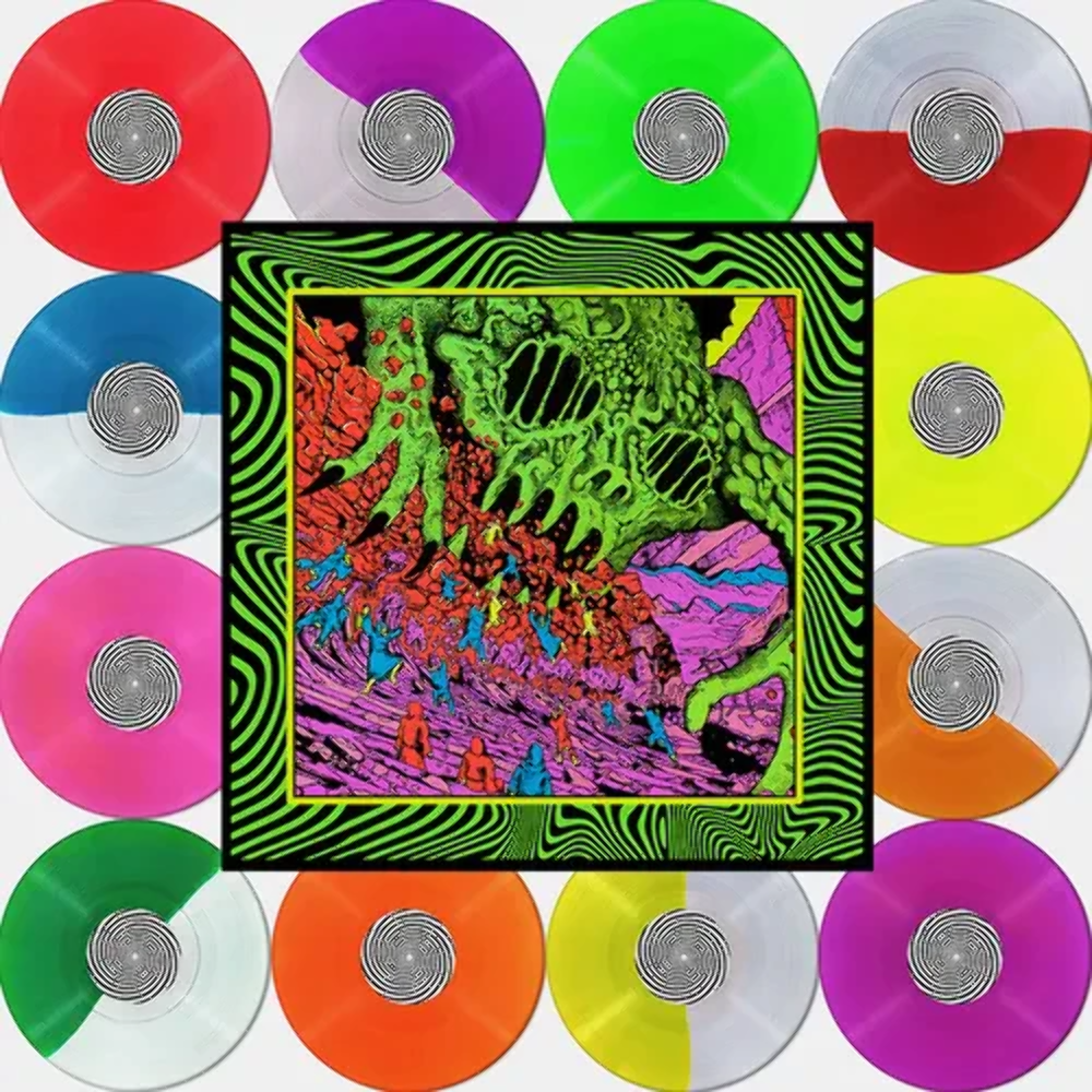 King Gizzard & The Lizard Wizard 2枚 LP King Gizzard & The Lizard Wizard - I'm In Your Mind Fuzz