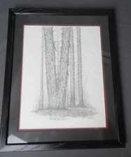 Vintage Walt Markey Jr Shagbank Hickory Bryner Rd Eby Ridge Perry County c4 rg