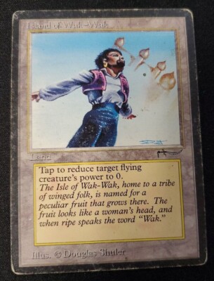 Magic MTG Island of Wak-Wak Arabian Nights Gathering Old School
