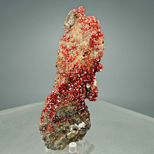 Nice Red Vanadinite Crystals: Apache Mine, Radium, Gila County, Arizona- Classic