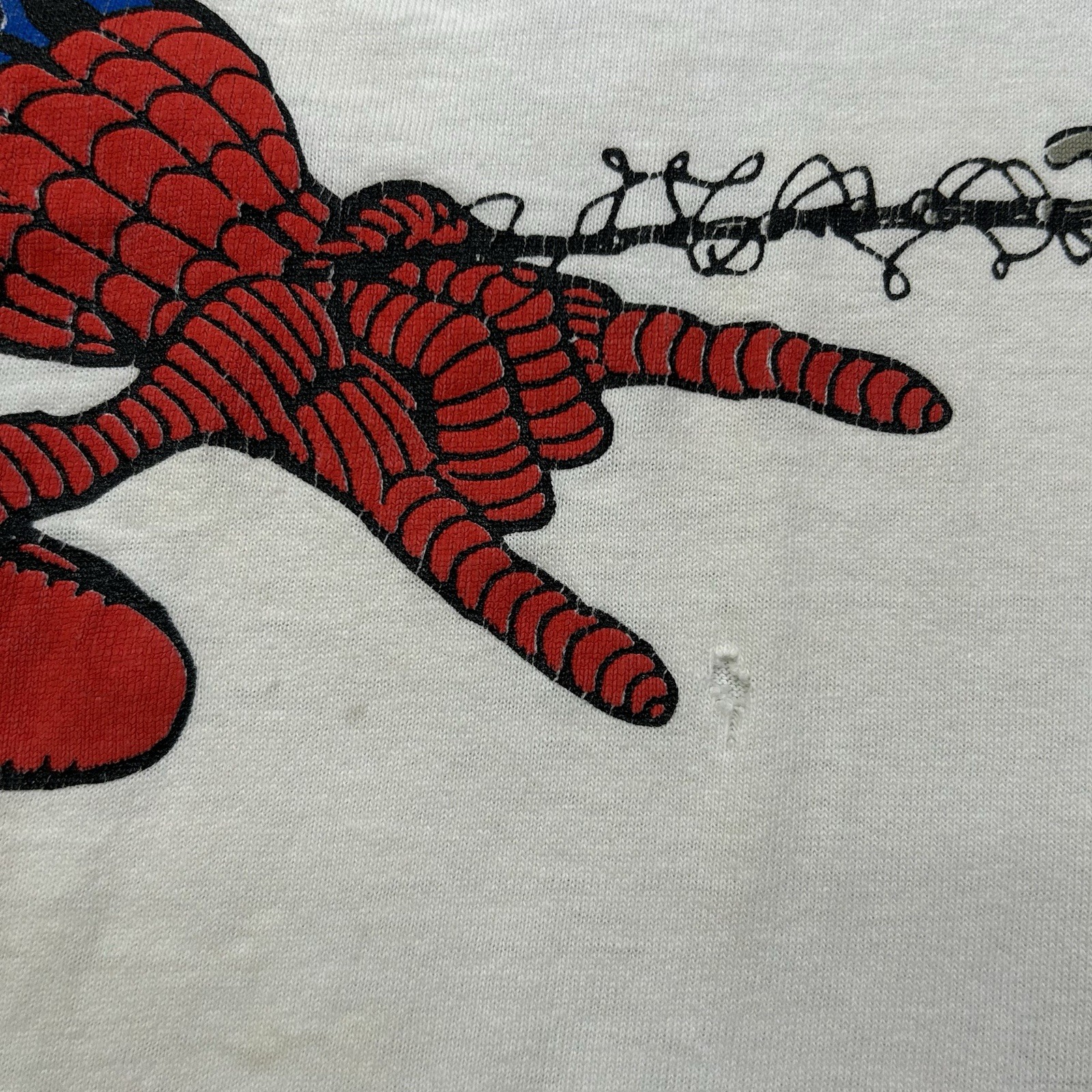 Picture 5 of 15