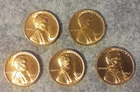1944, 1955, 1955S, 1956D, 1958D   AU/BU Wheat Pennies