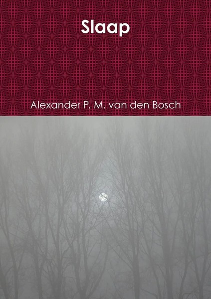 Alexander P. M. Van Den Bosch | Slaap | Taschenbuch | NiederläNdisch (2017)-image