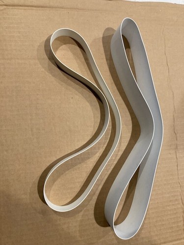 zebra belt skimmer belt 1" x 12" new - Picture 2 of 2