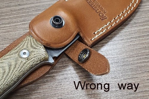 LionSteel M5 CVG BLACK Hunter Jagdmesser Sleipner Stahl Canvas Micarta Cordura - Bild 6 von 7