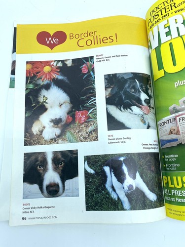 BORDER COLLIES Popular Dog Series Book From Dog Fancy Magazine 96 Pages - Picture 4 of 5