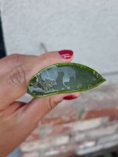 Aloe Vera Leaves Organic Aloe Barbadensis Cut After Payment Sent Propagation