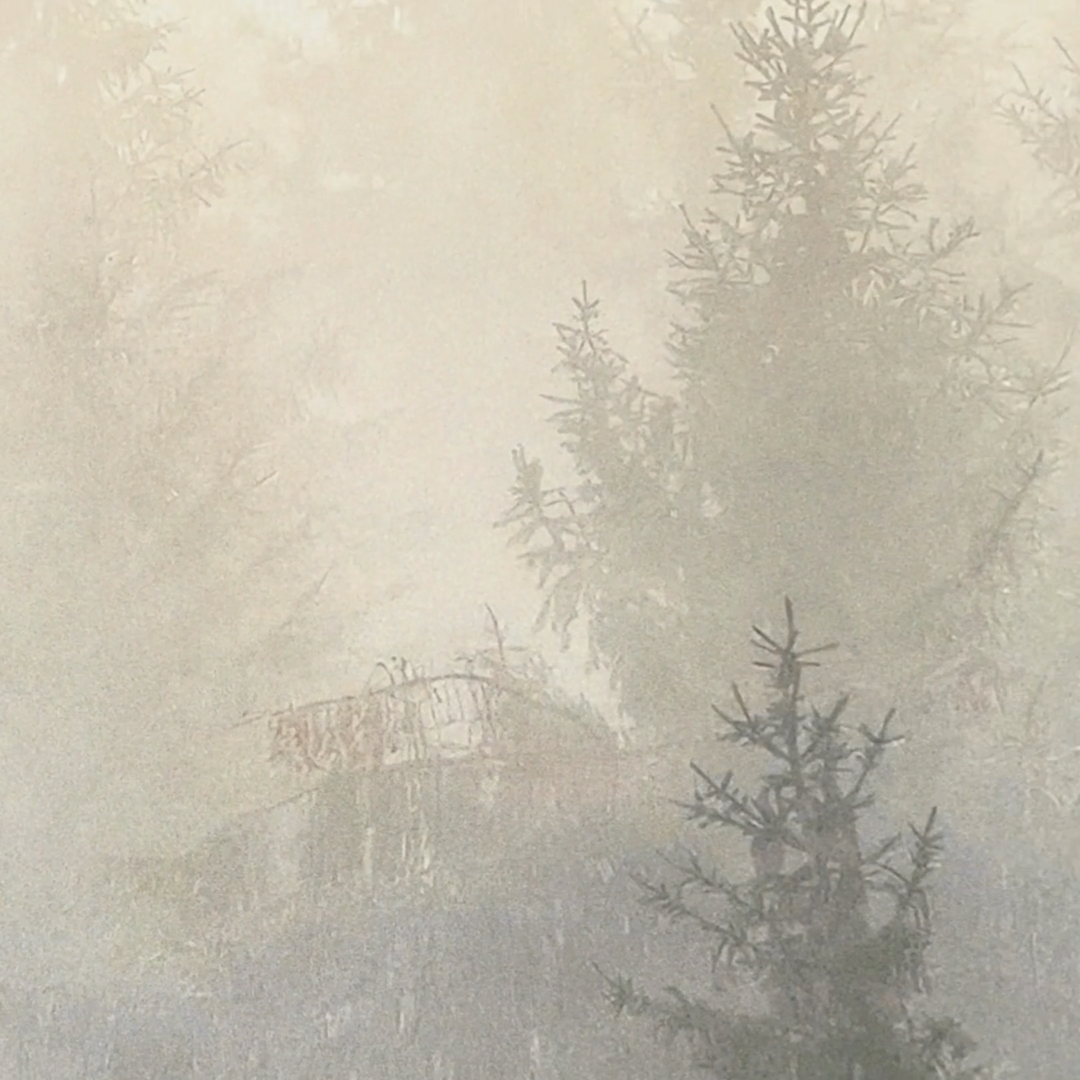 Misty Pine Tree Forest Landscape Wallpaper. Peel and Stick Wall Mural ...