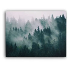 Misty Forest III Framed Canvas Stretched Ready to Hang 50x40 Home decor Gift.