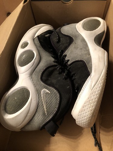 jordan zoom flight