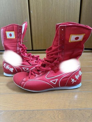 Mizuno Boxing Shoes Custom Made Red Japan Flag Embroidery Size US9