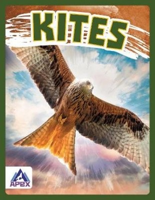 Connor Stratton Kites (Gebundene Ausgabe) Birds of Prey