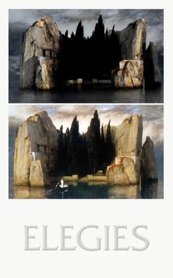 Elegies Laments for an architectural project ETHZ (u. a.) Buch 304 S. Englisch