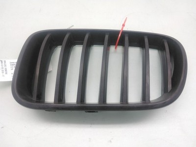 Kühlergrill BMW X3 F25 10-17 20d N47-D20C 51117210725