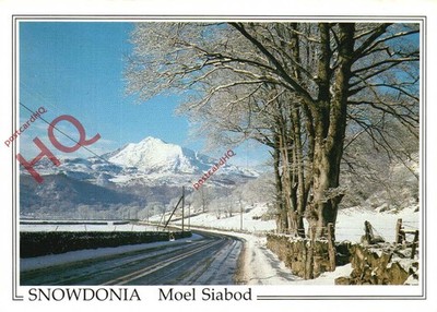 Ansichtskarte -: Snowdonia, Moel Siabod [Richter] um 11199