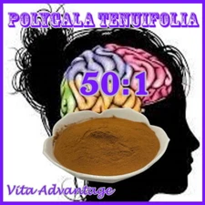 Polygala Tenuifolia 50:1 Depression, Anxiety and Sleep 100g