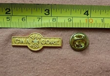 Team CWA Core 2000 Communications Workers of America Union Gold Tone Lapel Pin