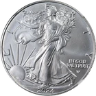2024 Silver American Eagle $1 NGC MS70 Brown Label - STOCK