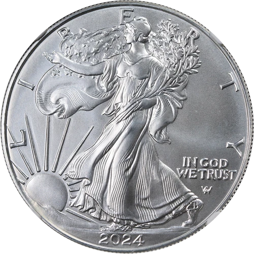 2024 Silver American Eagle $1 NGC MS70 Brown Label - STOCK