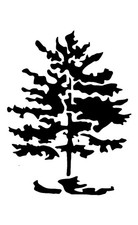 Really Great Stencils Evergreen Tree 1 Stencil, 4x7" Pine Tree Conifer Christmas