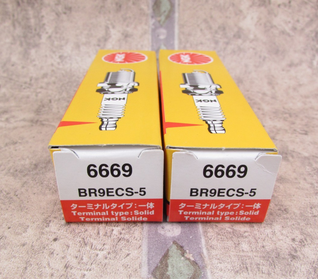 2 PACK NGK Standard 6669 BR9ECS-5 Spark Plugs, Made In Japan
