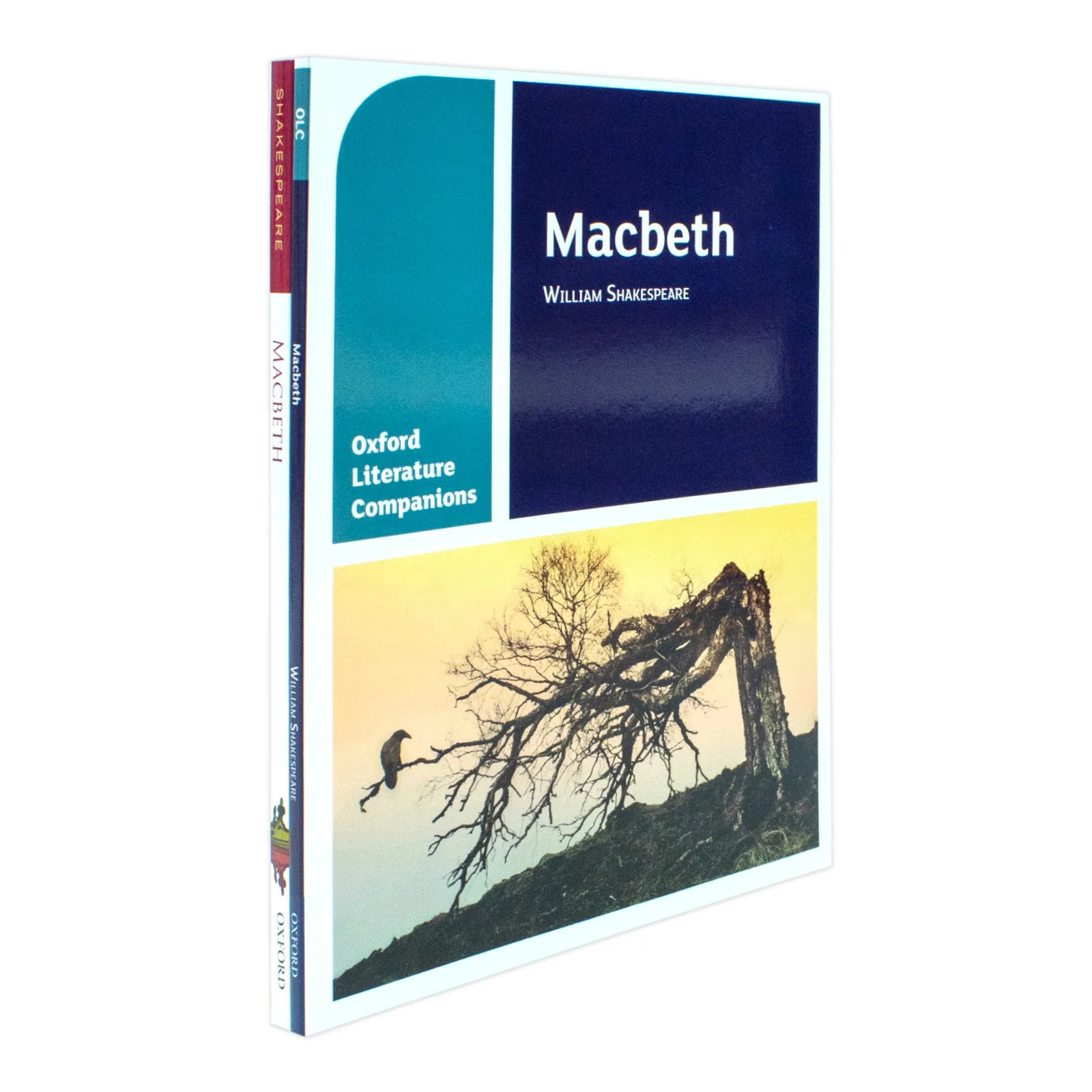 Oxford University Press Oxford School William Shakespeare Macbeth And Macbeth Oxford Literature Companions 2 Book Set - Image 3