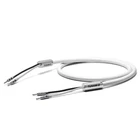 Oyaide TUNAMI II SP-B V2 2.5m Pair Speaker Cable with Banana Plugs