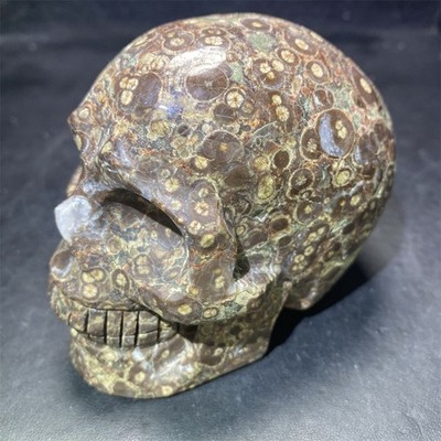 1.8LB 4.2''Natural Money Agate Skull Statue Crystal Reiki Carving Quartz Decor