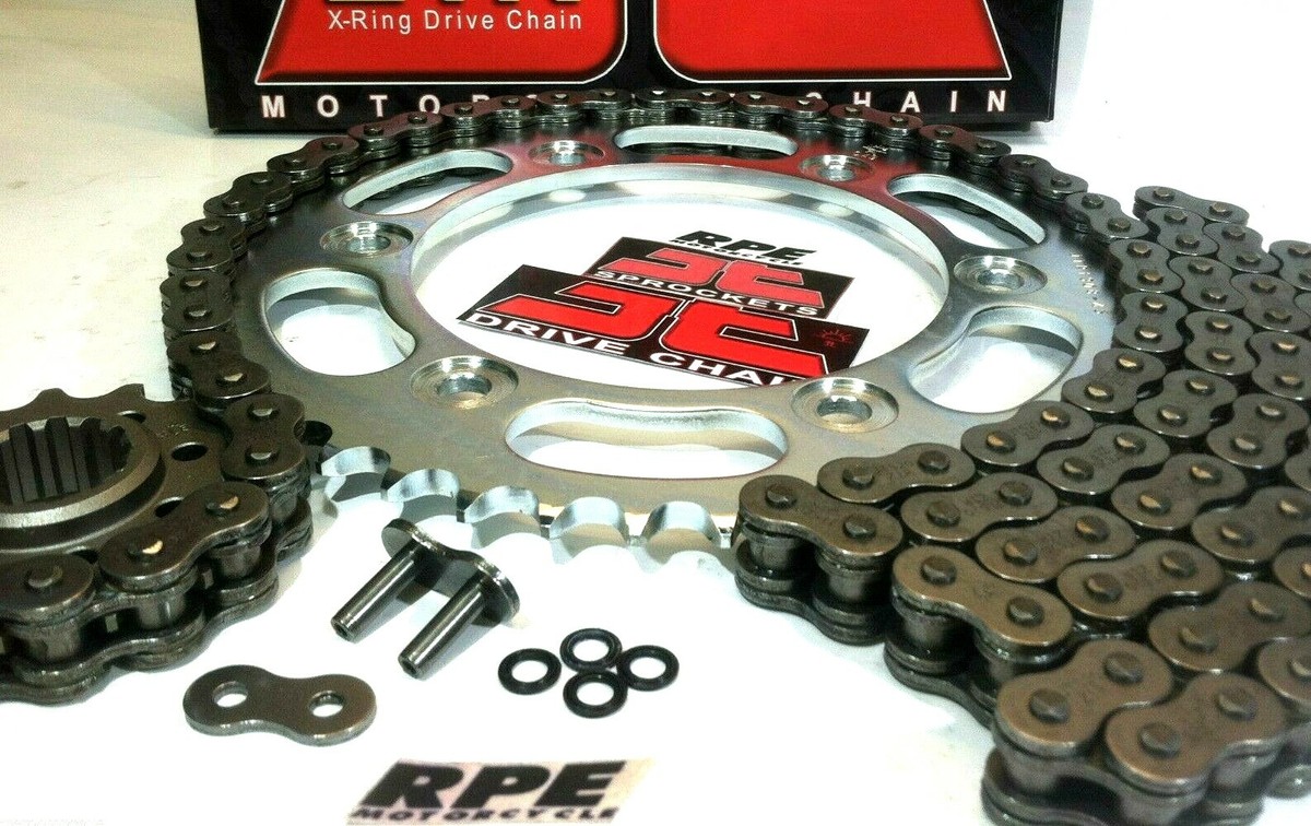 p*.様 blackbird Hand Painted Portuguese Ceramic Home Decor Blackbird Figurine – We