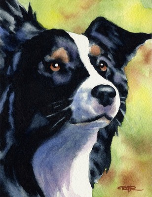 collie dog paintings