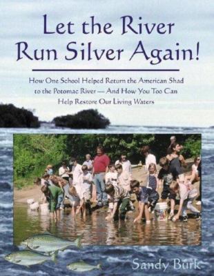 Let the River Run Silver Again! by Sandy Burk