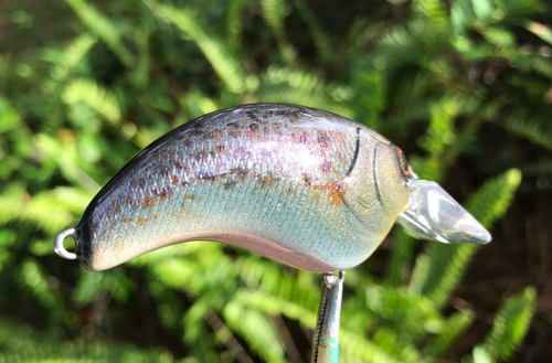 SPEEDBAITS Custom Airbrushed DEPS EVOKE 1.2 Crankbait CLONE - Imagen 8 de 11