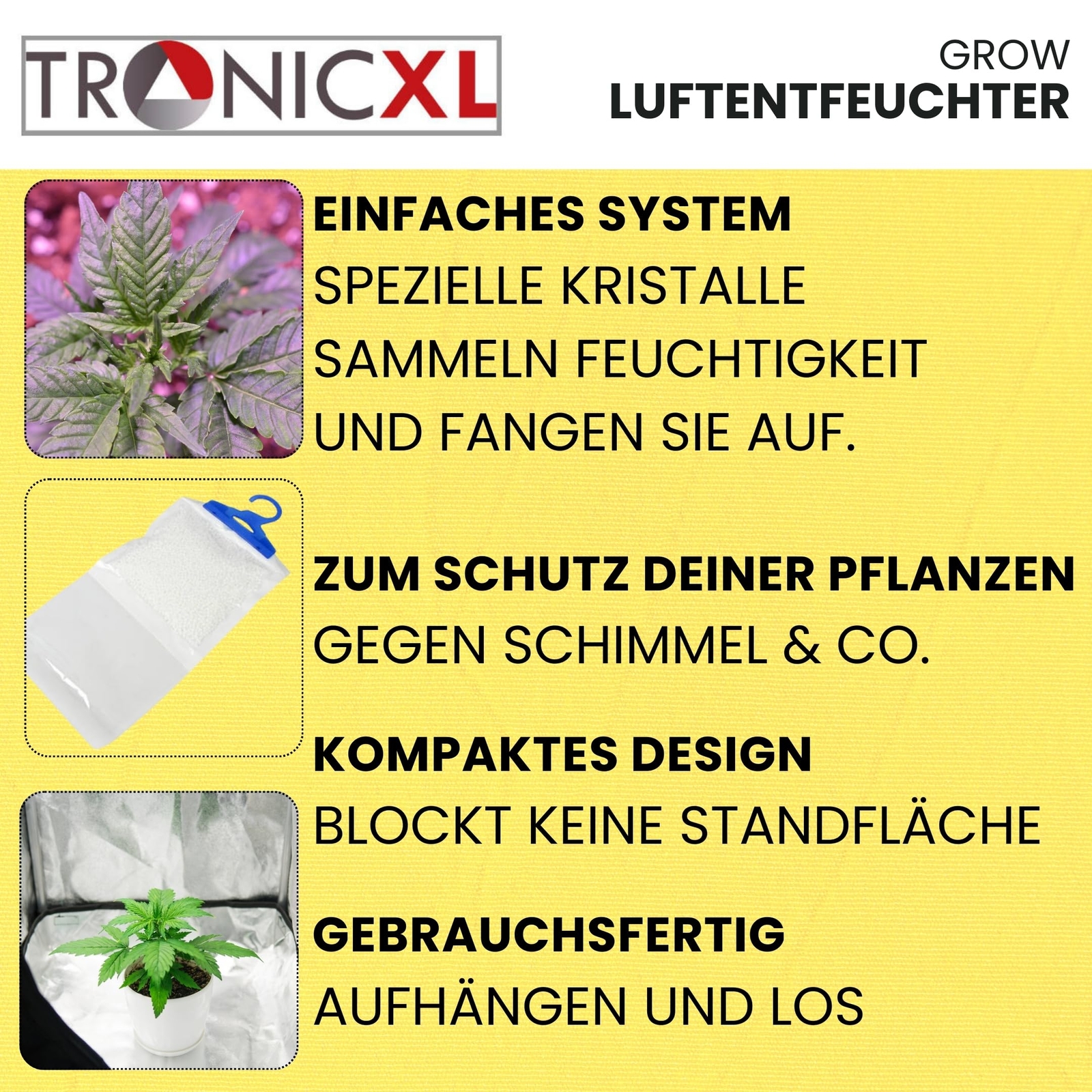 Bild 5 von 6