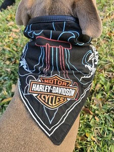 Harley Davidson Biker Black Strap Fringe Leather Triangle Bandana Dog Scarf