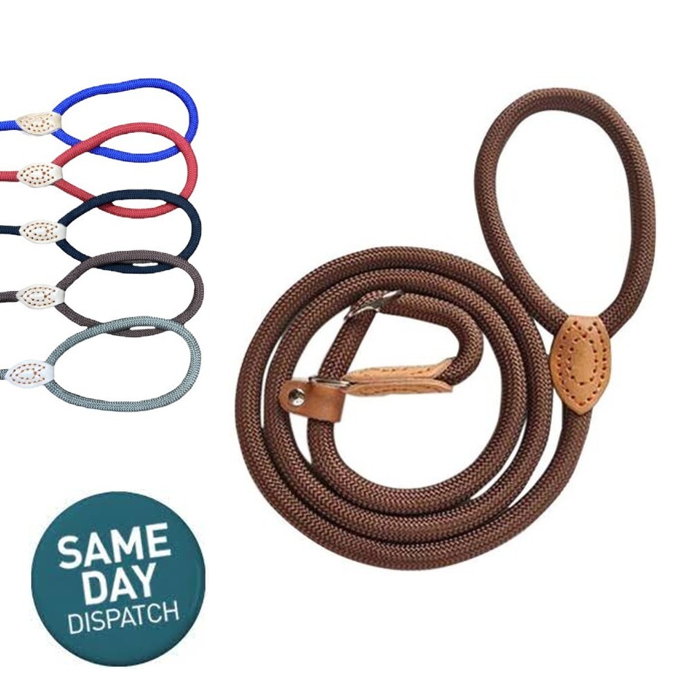 Collar Harness Dog Leash Nylon Pet Lead Leash...