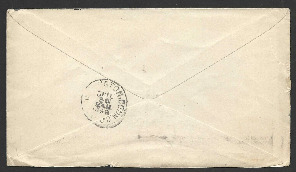 US 1889 ADVERTISING STEAMSHIP COMPANY N.Y. TEXAS, GEORGIA & FLORIDA - Image 2 of 2