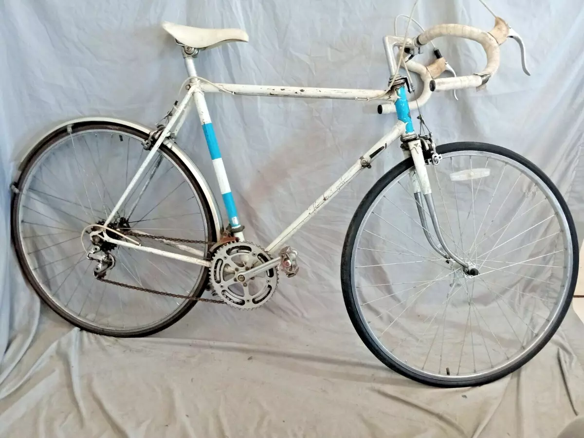 raleigh road bikes for sale