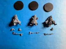 GW Herr der Ringe Dunlending Huscarls