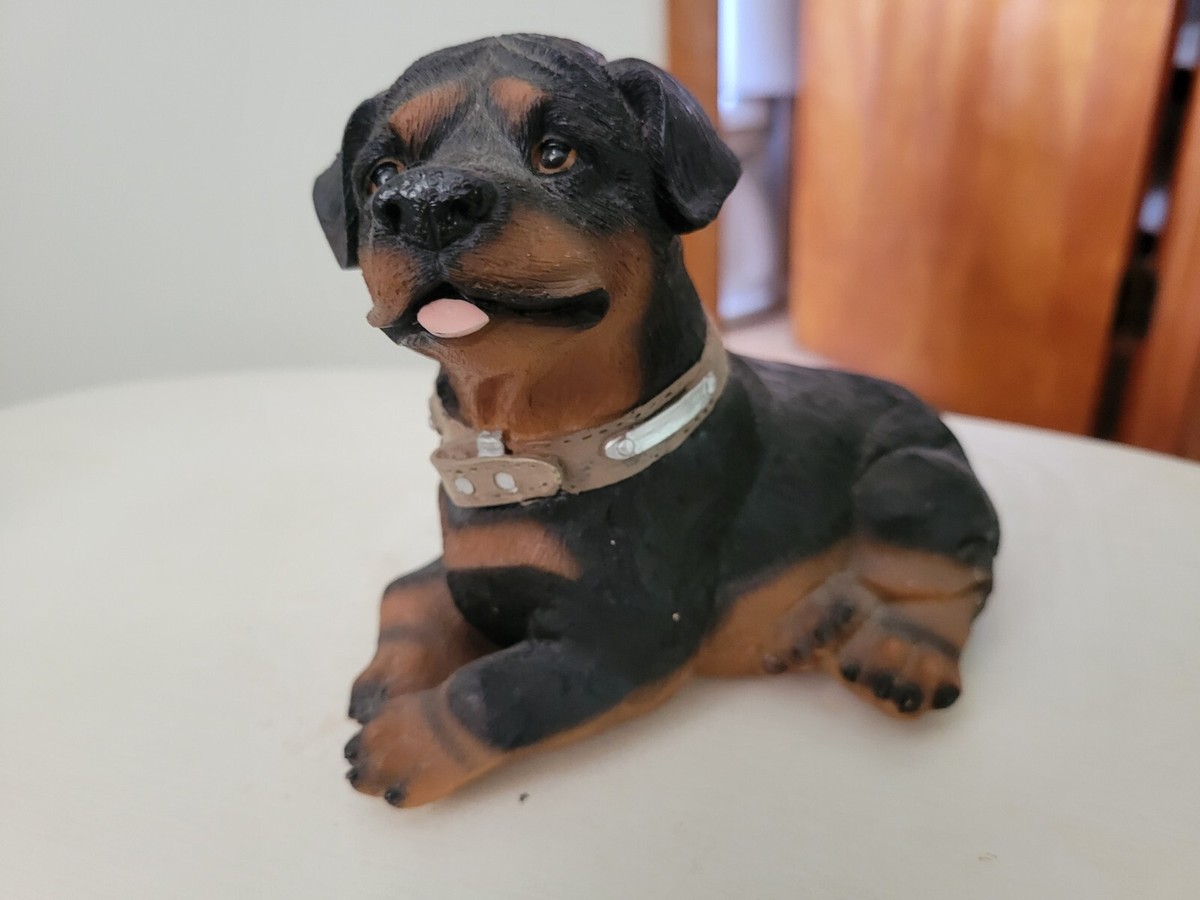 Miniature Rotweilers Chiot Rottweiler Miniature