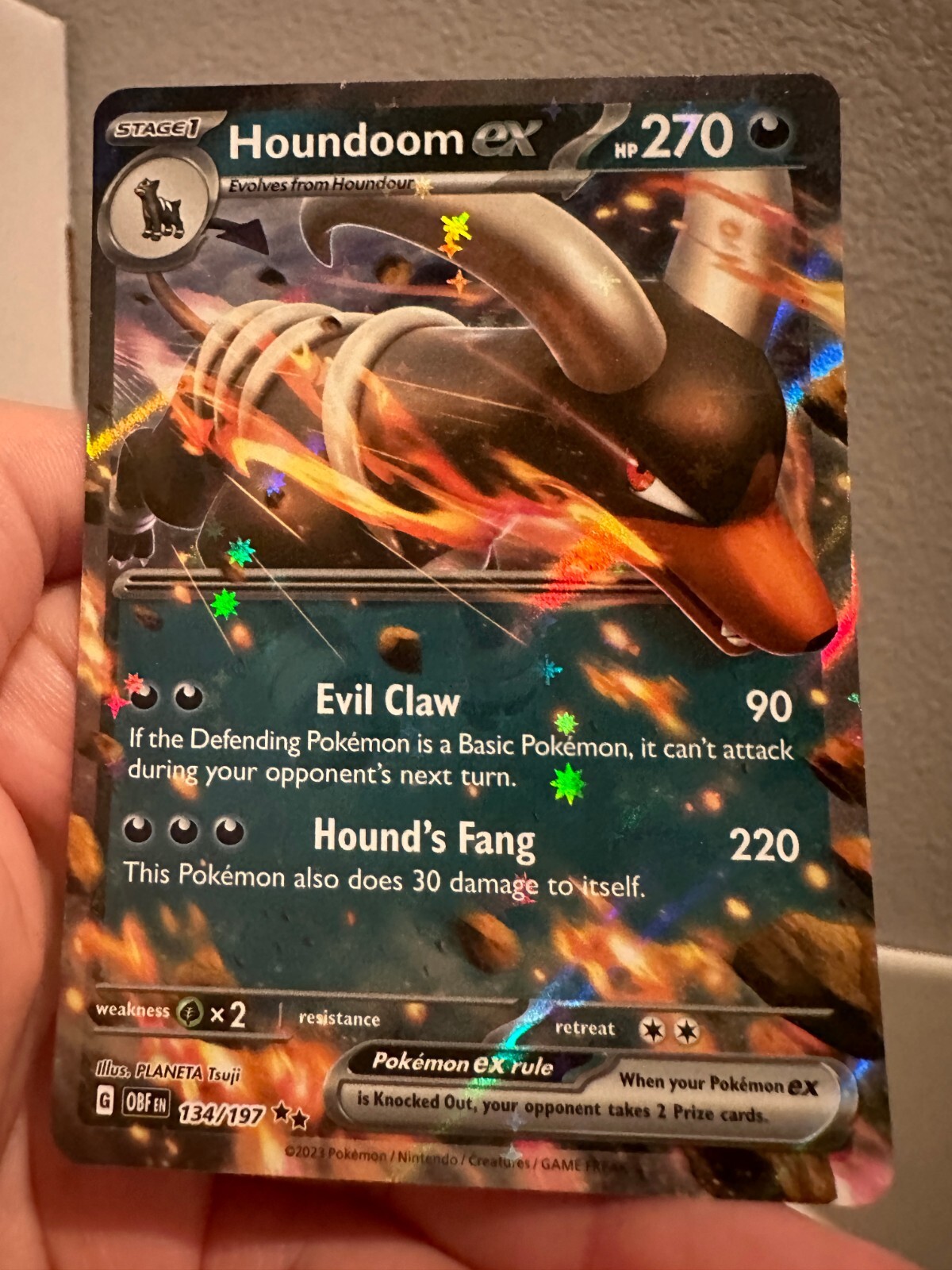 Houndoom EX 134/197 - Obsidian Flames - Double Rare Holo Pokemon Card NM 0601#94