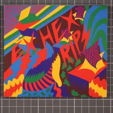 Rips by Ex Hex (CD, 2014)