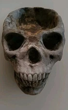 VTG Skull Head Gray Limestone Ceramic  8.5"L x 5" W - Cigarette Holders Ashtray 