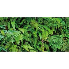 48x24 in Terrarium Backdrop Rainforest Plant Reptile Habitat Background