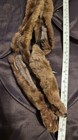 Fur pieces from vintage coat GORGEOUS soft PERFECT — photo 6